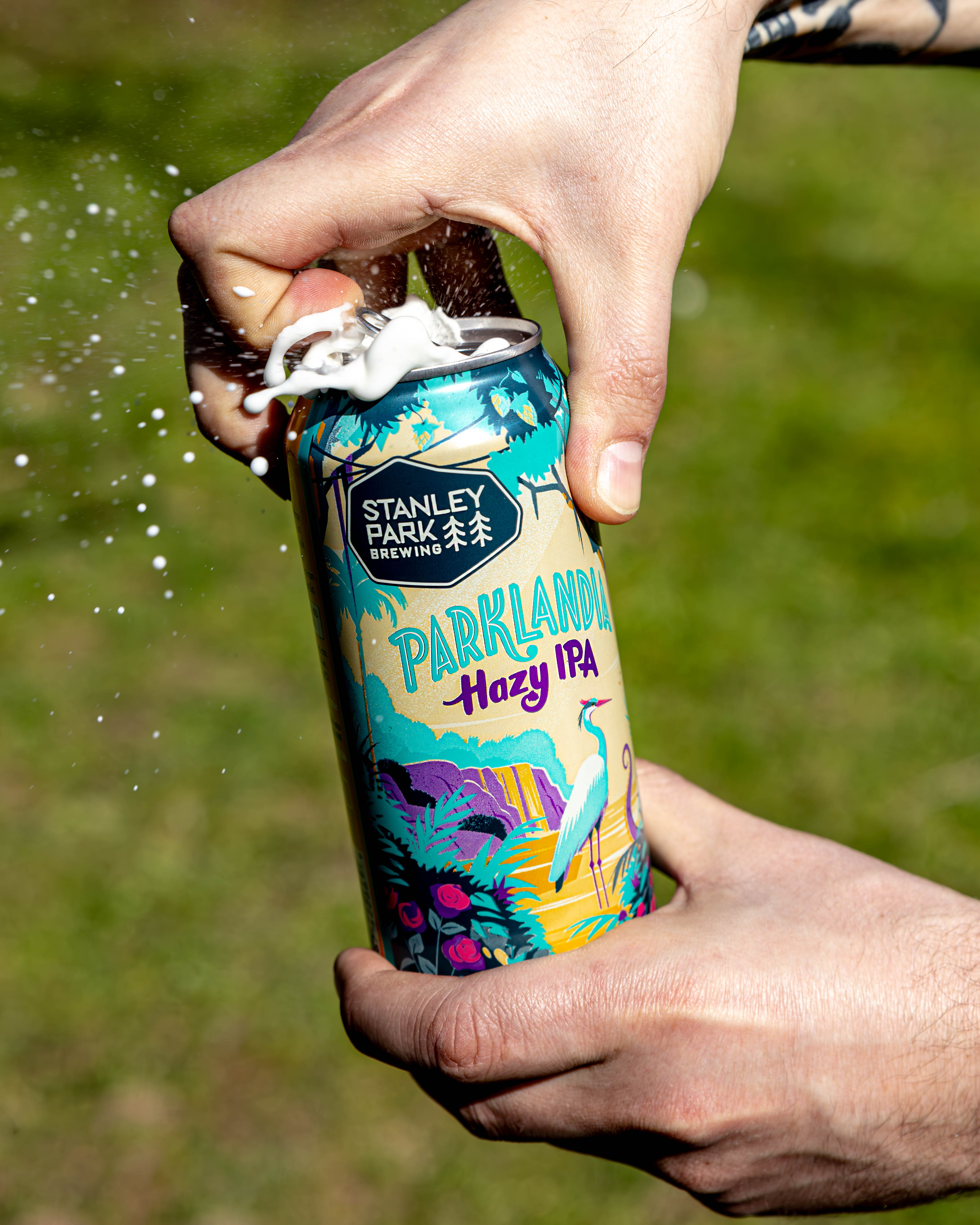 Parklandia Wins World's Best Hazy IPA